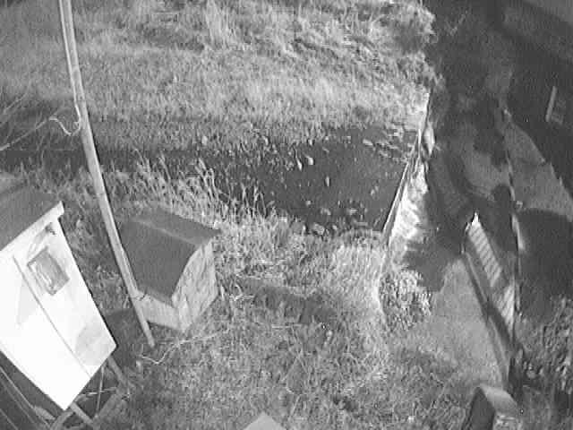 新甘柿橋付近のカメラ画像