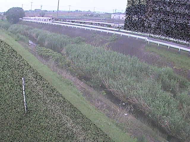 大根川 真田橋付近のカメラ画像