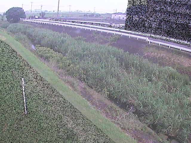 大根川 真田橋付近のカメラ画像