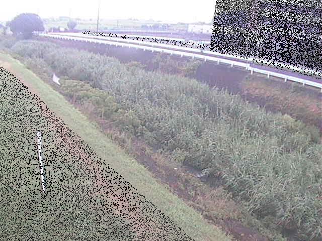 大根川 真田橋付近のカメラ画像