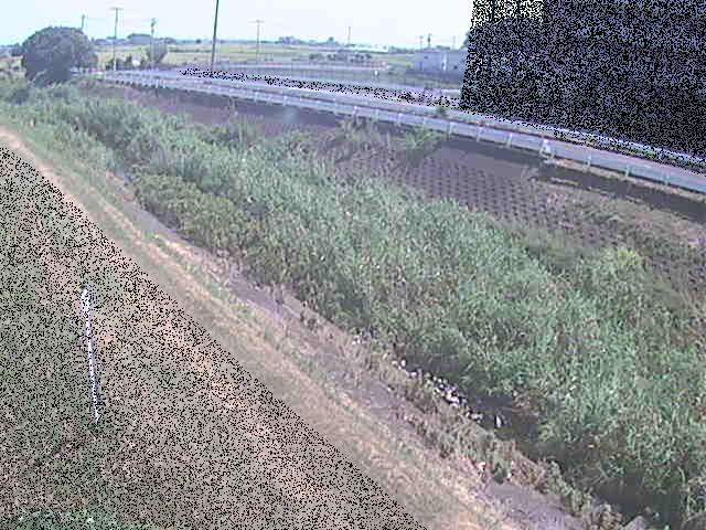 大根川 真田橋付近のカメラ画像