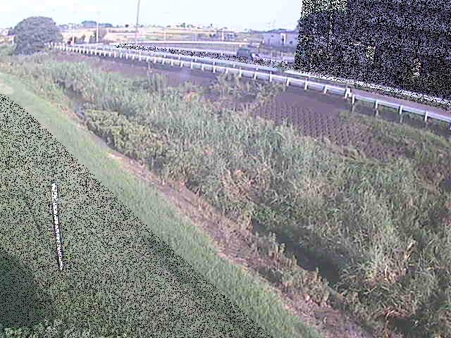 大根川 真田橋付近のカメラ画像