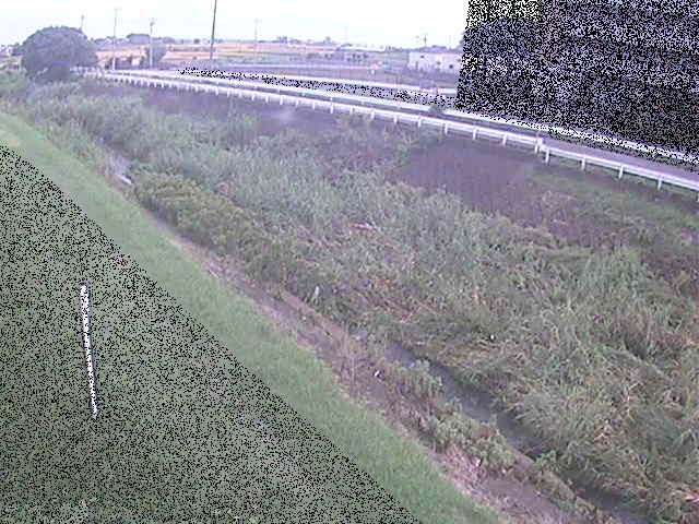 大根川 真田橋付近のカメラ画像
