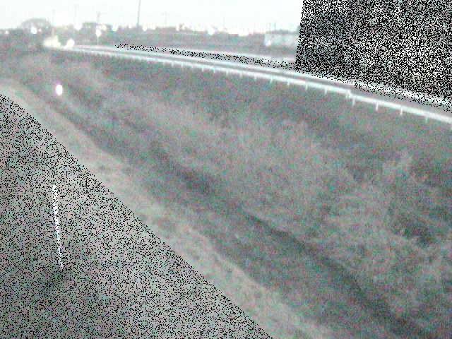 大根川 真田橋付近のカメラ画像