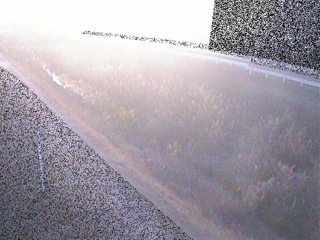 大根川 真田橋付近のカメラ画像