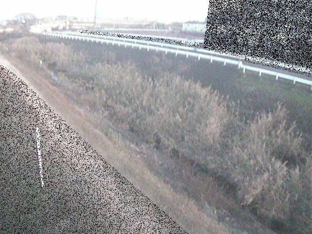 大根川 真田橋付近のカメラ画像