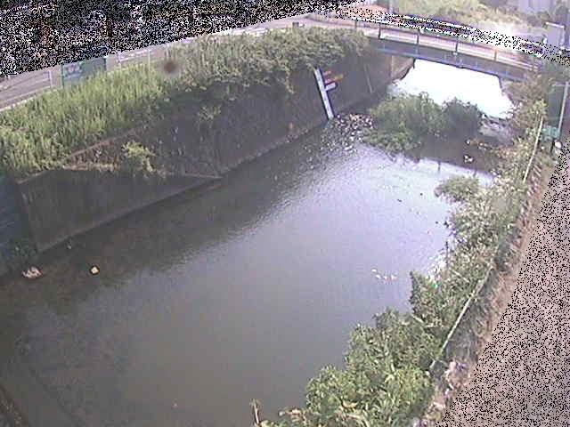 河内川 下河原橋付近のカメラ画像