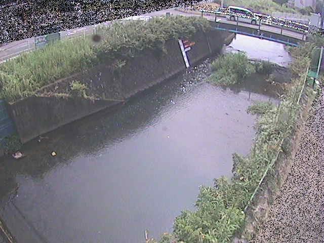 河内川 下河原橋付近のカメラ画像