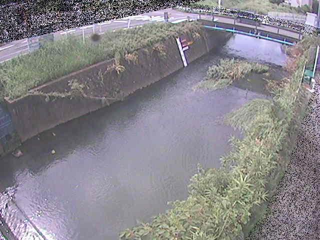 河内川 下河原橋付近のカメラ画像