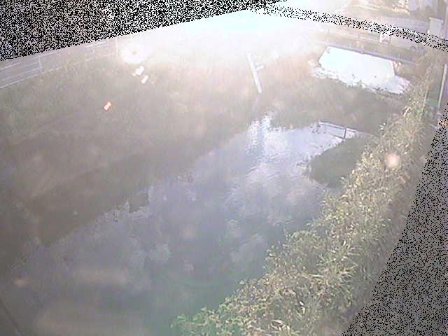 河内川 下河原橋付近のカメラ画像