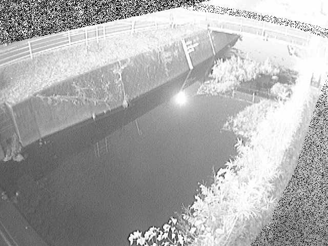 河内川 下河原橋付近のカメラ画像