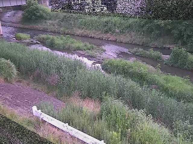 鈴川 東橋付近のカメラ画像