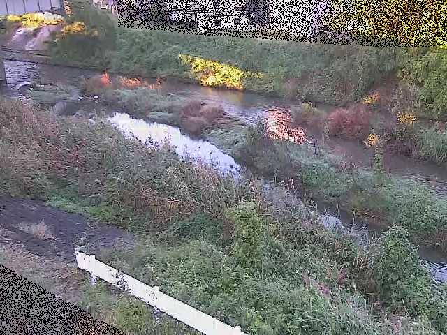 東橋付近のカメラ画像