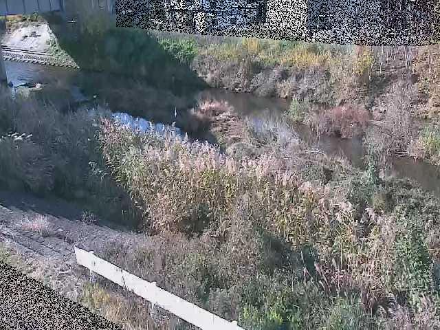 東橋付近のカメラ画像