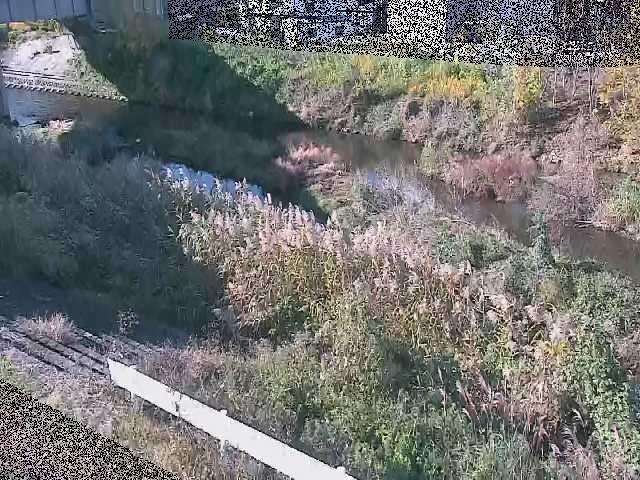 東橋付近のカメラ画像