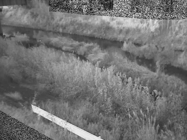 鈴川 東橋付近のカメラ画像