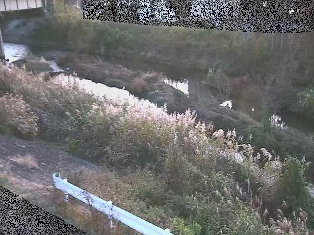 鈴川 東橋付近のカメラ画像
