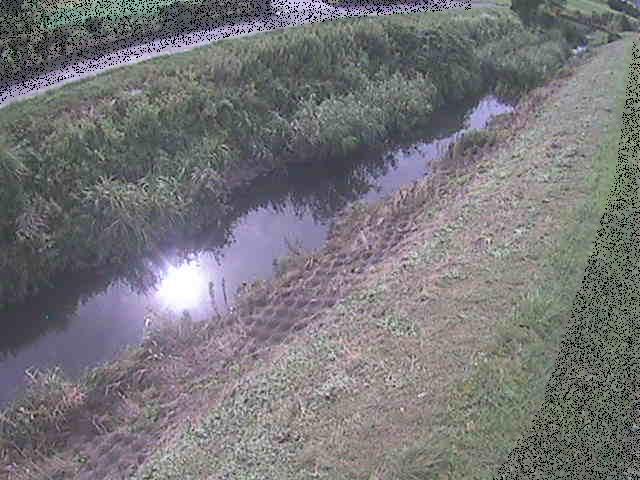 岡崎橋付近のカメラ画像