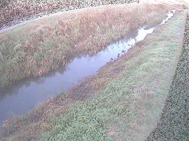 岡崎橋付近のカメラ画像