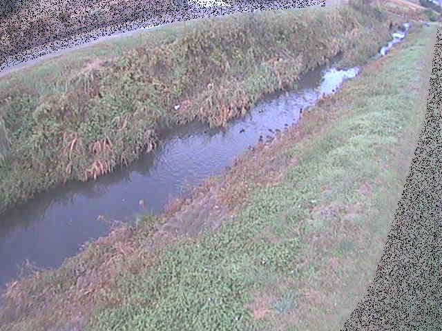 岡崎橋付近のカメラ画像