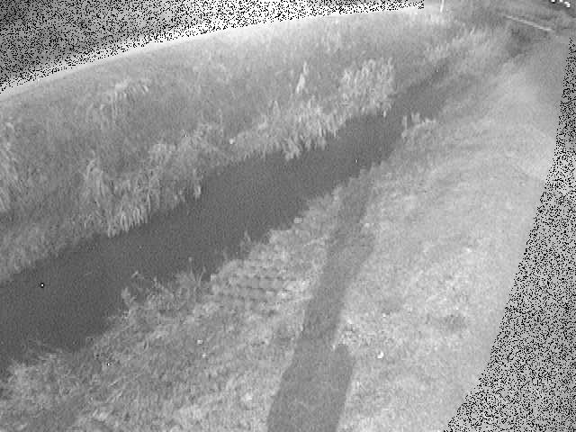 岡崎橋付近のカメラ画像