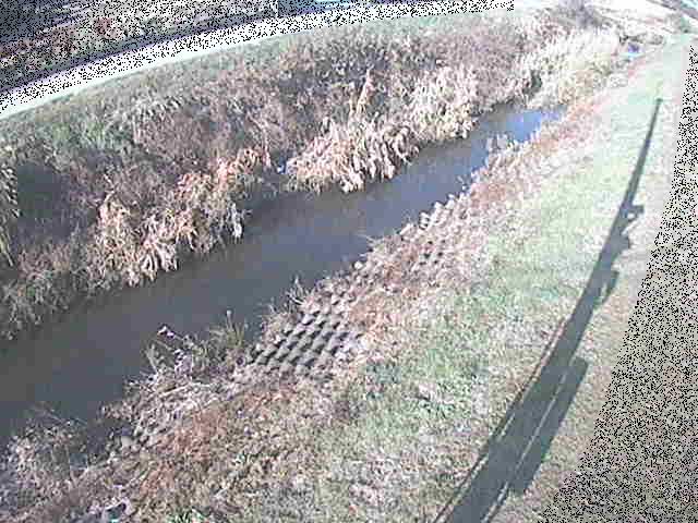 岡崎橋付近のカメラ画像