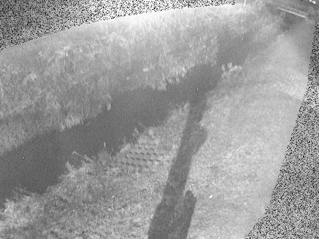 岡崎橋付近のカメラ画像