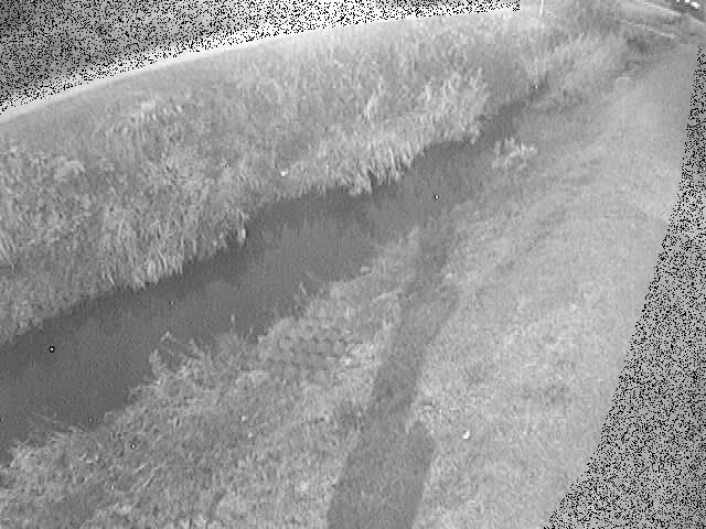 岡崎橋付近のカメラ画像