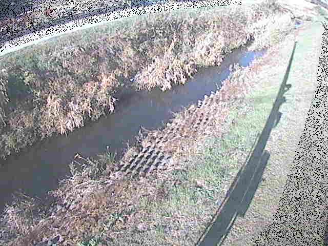 岡崎橋付近のカメラ画像