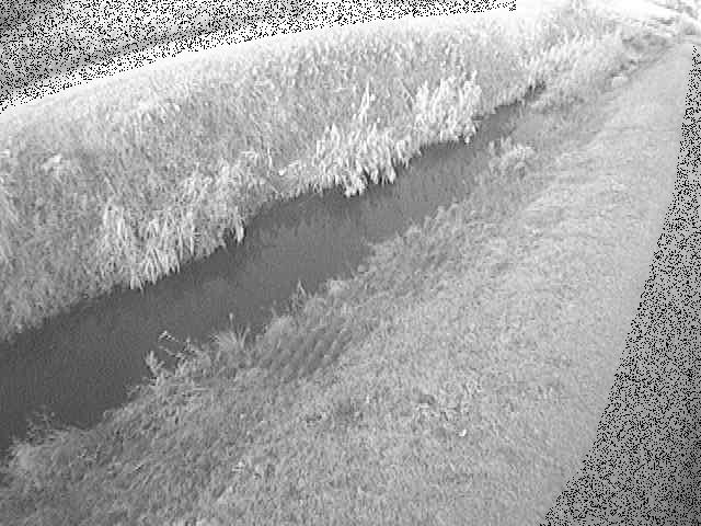 板戸川 岡崎橋付近のカメラ画像