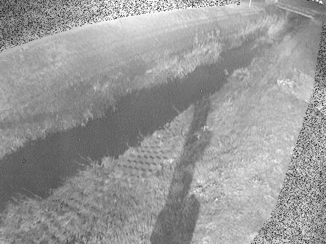 岡崎橋付近のカメラ画像