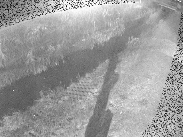 岡崎橋付近のカメラ画像