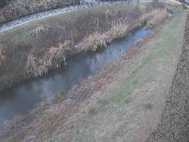 岡崎橋付近のカメラ画像