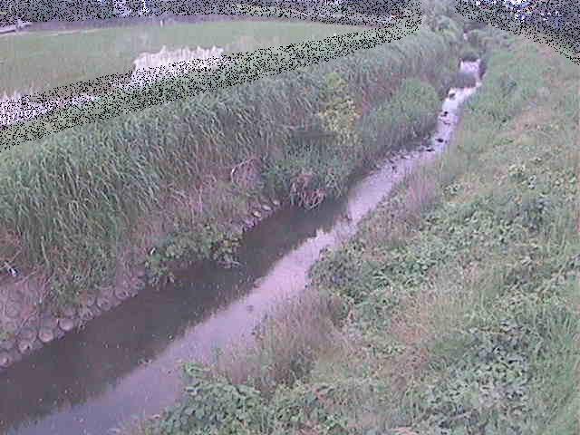 座禅川 土屋窪橋付近のカメラ画像