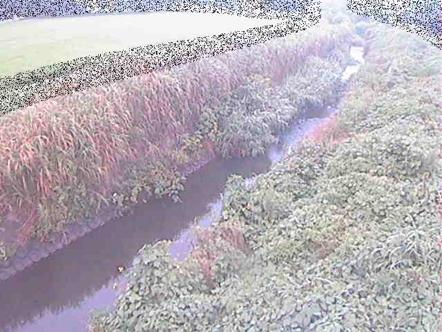 座禅川 土屋窪橋付近のカメラ画像