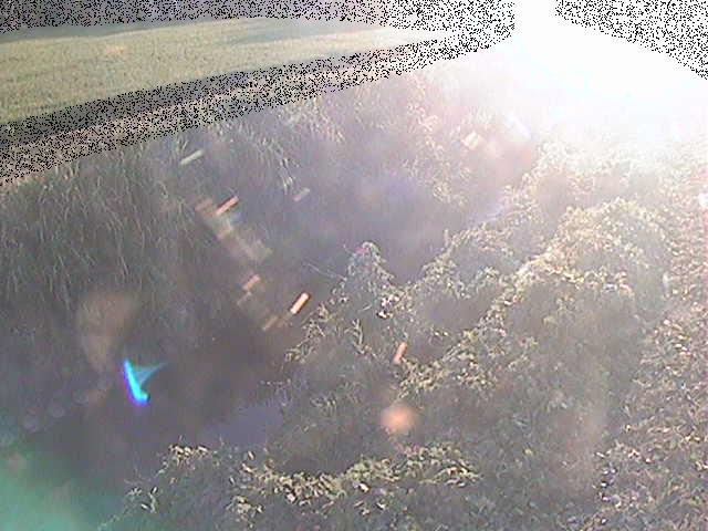 座禅川 土屋窪橋付近のカメラ画像