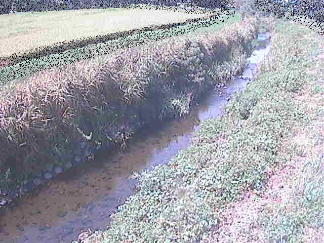 座禅川 土屋窪橋付近のカメラ画像