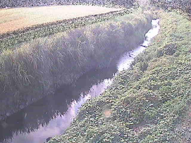 座禅川 土屋窪橋付近のカメラ画像