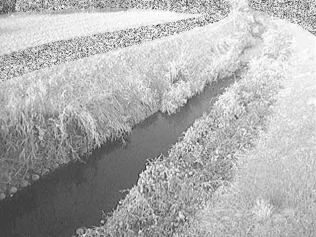 座禅川 土屋窪橋付近のカメラ画像