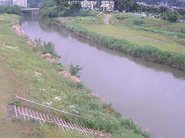 玉川橋付近のカメラ画像