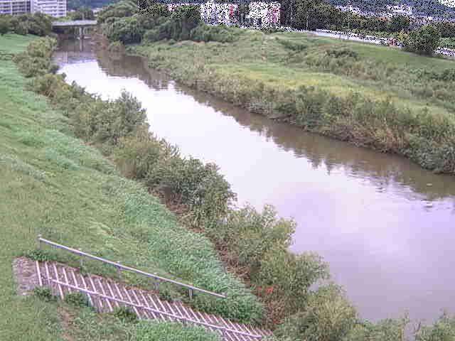 玉川橋付近のカメラ画像