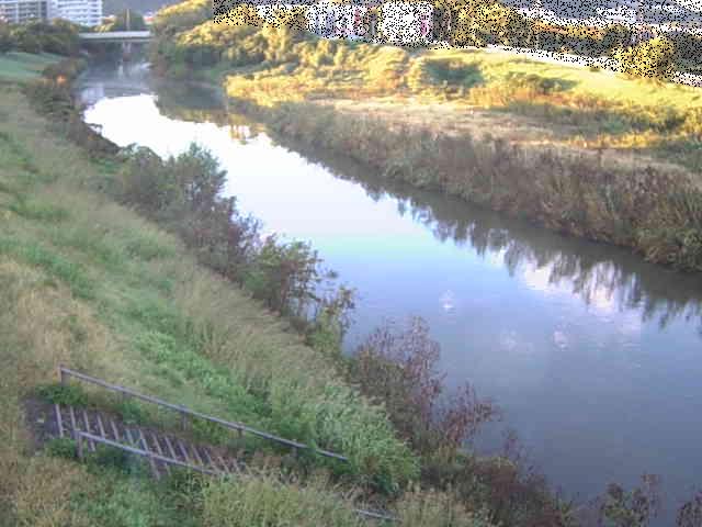 玉川橋付近のカメラ画像