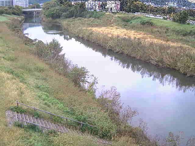 玉川橋付近のカメラ画像