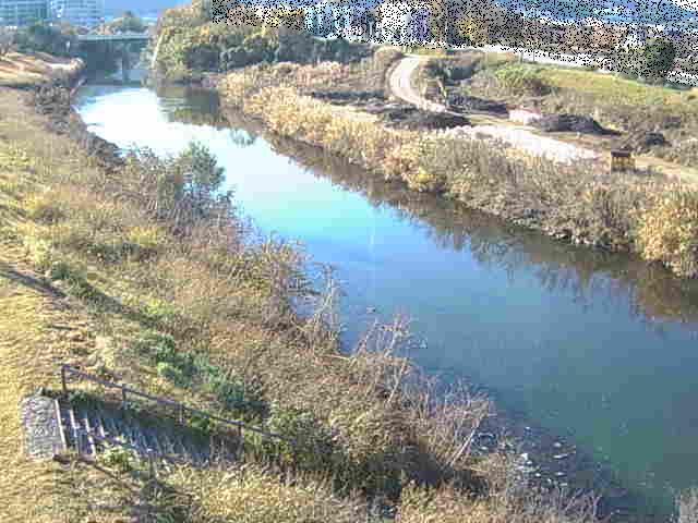 玉川橋付近のカメラ画像