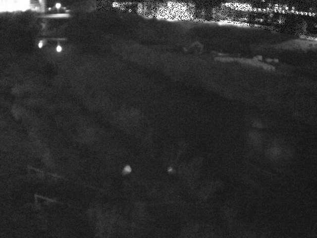 玉川橋付近のカメラ画像