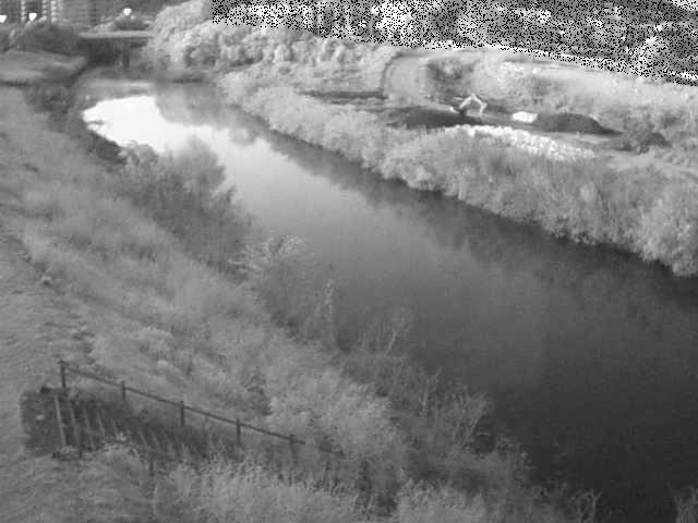 鈴川 玉川橋付近のカメラ画像