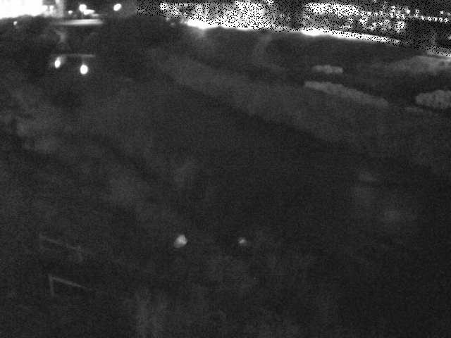 玉川橋付近のカメラ画像