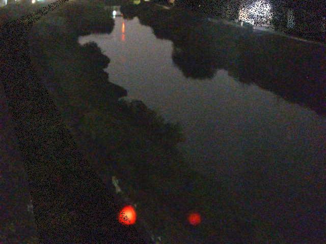 渋田川 新大縄橋付近のカメラ画像