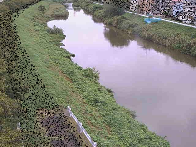 新大縄橋付近のカメラ画像