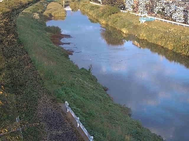 渋田川 新大縄橋付近のカメラ画像